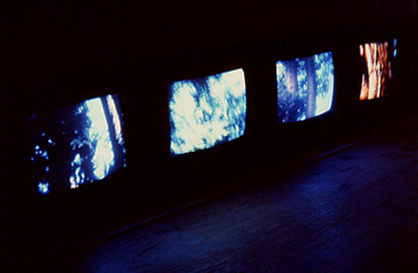 Tree Monitor Sequence